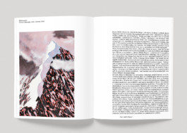 Enea Bortone | Grafikatelier