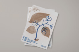 Enea Bortone | Grafikatelier