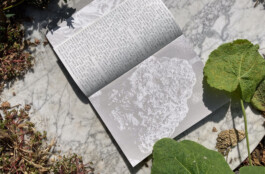 Enea Bortone | Grafikatelier